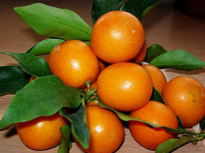 ���L(zh��ng)̶���p���~��Ʒ���